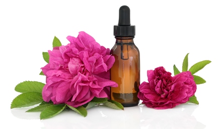 Эфирное масло розы — бог здоровья и красоты